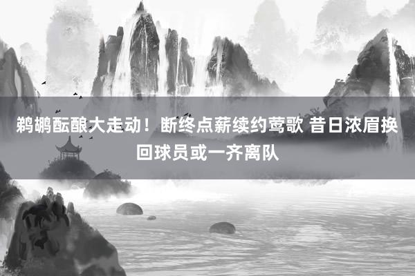 鹈鹕酝酿大走动！断终点薪续约莺歌 昔日浓眉换回球员或一齐离队