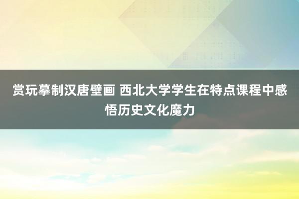 赏玩摹制汉唐壁画 西北大学学生在特点课程中感悟历史文化魔力