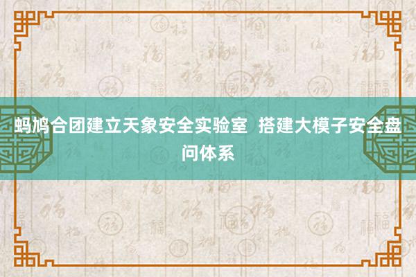 蚂鸠合团建立天象安全实验室  搭建大模子安全盘问体系