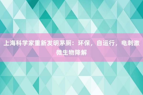 上海科学家重新发明茅厕：环保，自运行，电刺激微生物降解