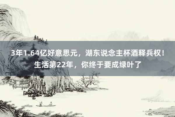 3年1.64亿好意思元，湖东说念主杯酒释兵权！生活第22年，你终于要成绿叶了