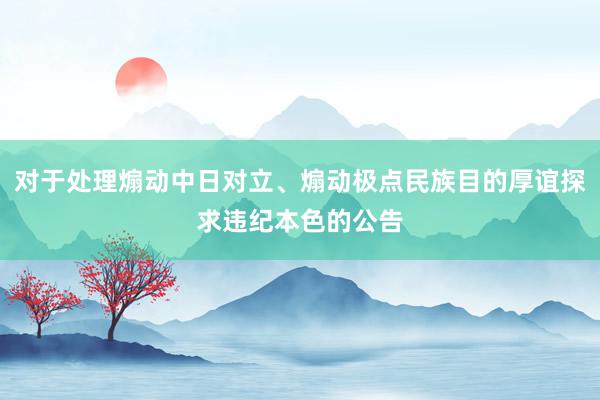 对于处理煽动中日对立、煽动极点民族目的厚谊探求违纪本色的公告