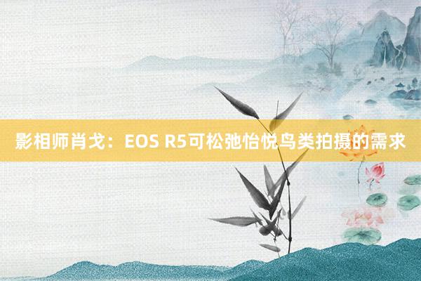 影相师肖戈：EOS R5可松弛怡悦鸟类拍摄的需求