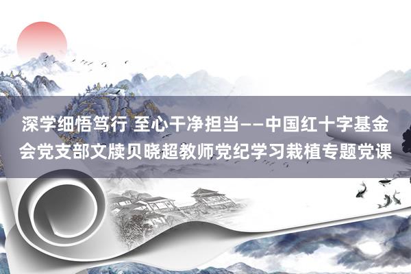 深学细悟笃行 至心干净担当——中国红十字基金会党支部文牍贝晓超教师党纪学习栽植专题党课