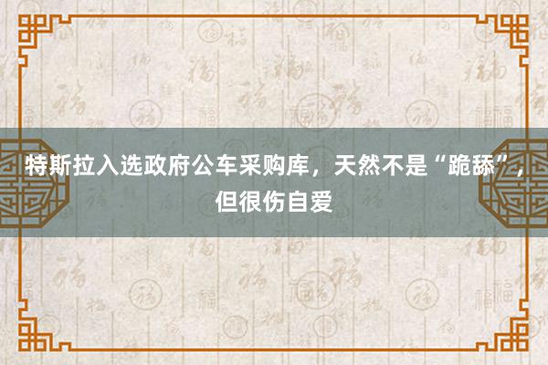 特斯拉入选政府公车采购库，天然不是“跪舔”，但很伤自爱