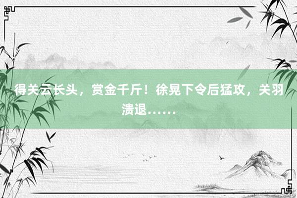 得关云长头，赏金千斤！徐晃下令后猛攻，关羽溃退……