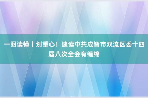 一图读懂丨划重心！速读中共成皆市双流区委十四届八次全会有缠绵