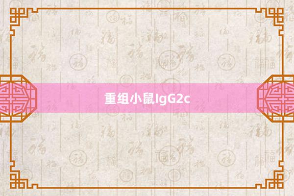 重组小鼠IgG2c