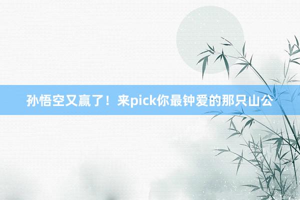 孙悟空又赢了！来pick你最钟爱的那只山公