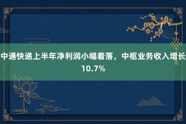 中通快递上半年净利润小幅着落，中枢业务收入增长10.7%