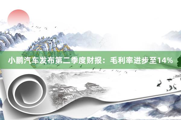 小鹏汽车发布第二季度财报：毛利率进步至14%