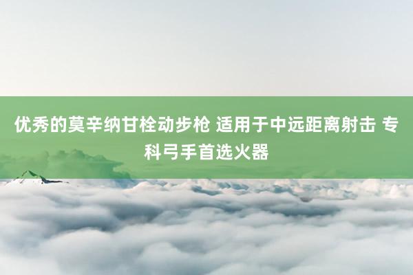 优秀的莫辛纳甘栓动步枪 适用于中远距离射击 专科弓手首选火器