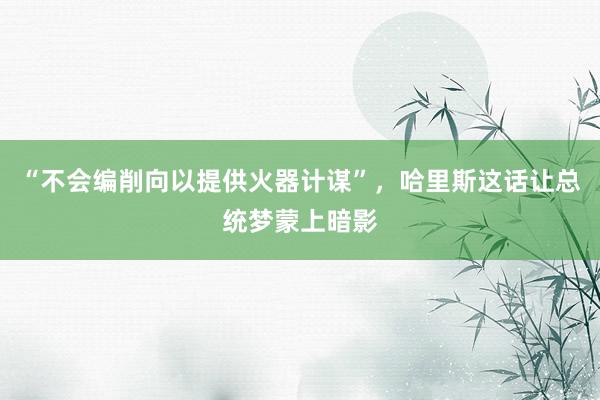 “不会编削向以提供火器计谋”，哈里斯这话让总统梦蒙上暗影