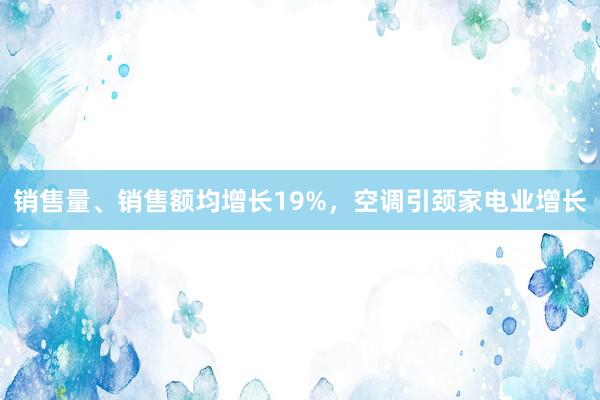 销售量、销售额均增长19%，空调引颈家电业增长